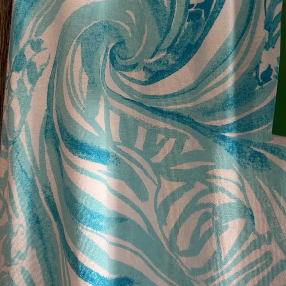 Lilly Pulitzer Maxi skirt - Picture 2 of 6